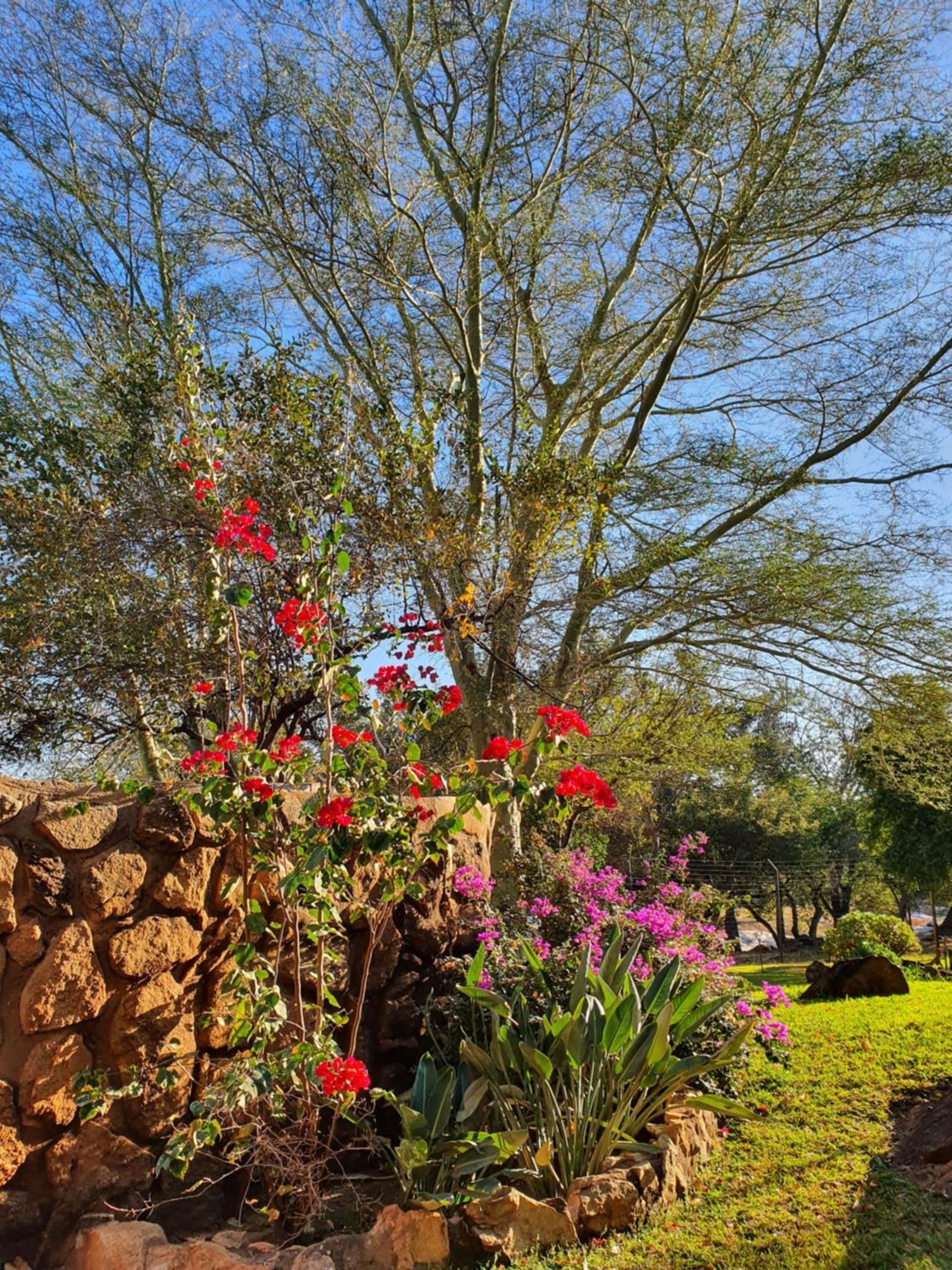 Hasekamp Family Bush Lodge フッドスプルイト エクステリア 写真