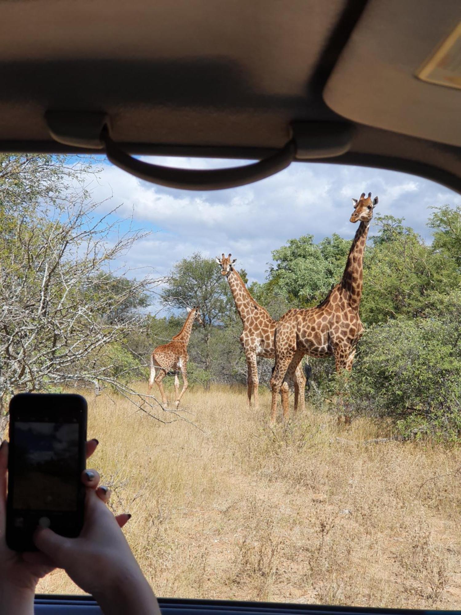 Hasekamp Family Bush Lodge フッドスプルイト エクステリア 写真